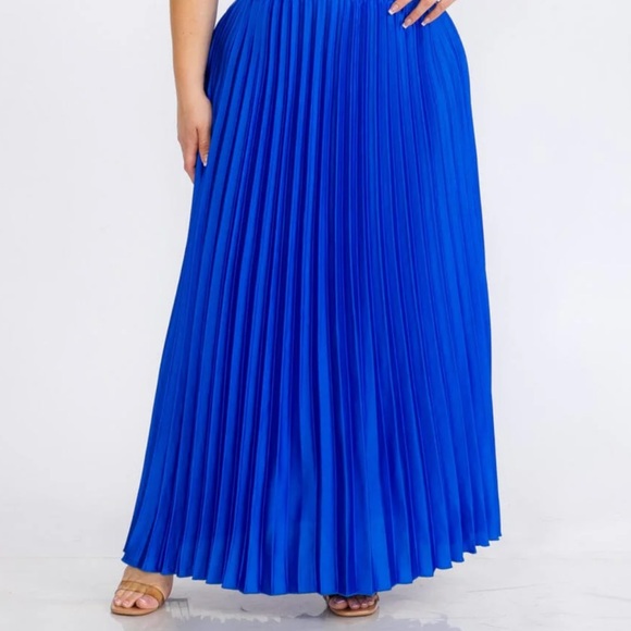 Plus Size Zipped Pleated Maxi Skirt - Picture 1 of 2